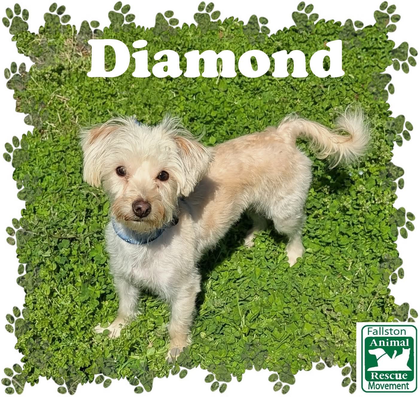 Diamond
