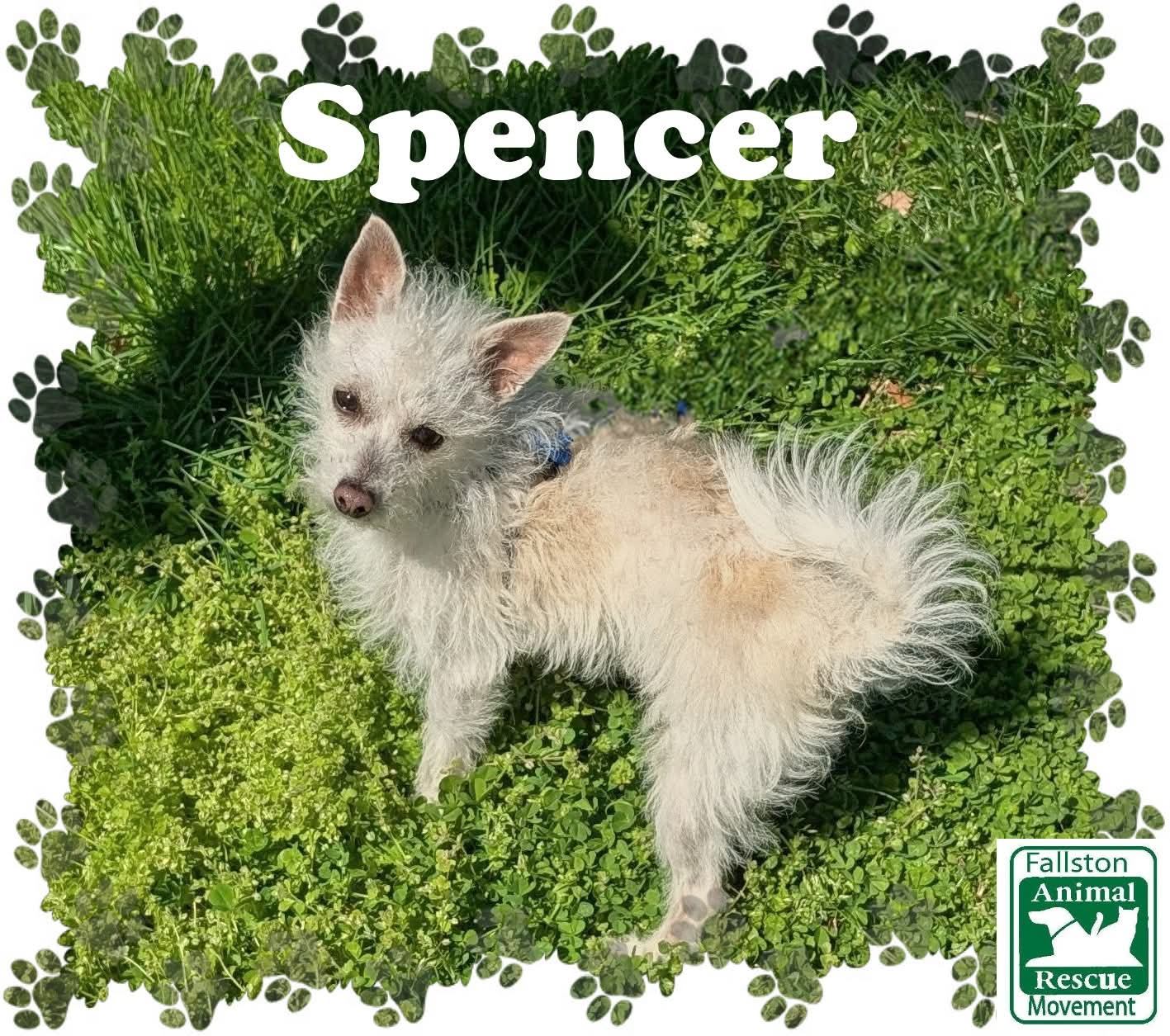 Spencer